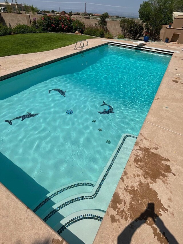 view of pool featuring a lawn and a patio