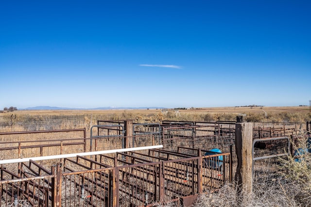 view of yard with a rural view