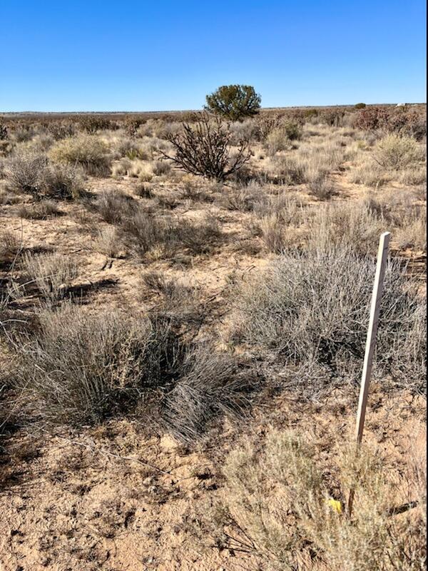 6th St NW, Rio Rancho, NM 87144 - photo 5
