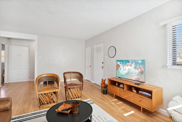 living room with hardwood / wood-style flooring