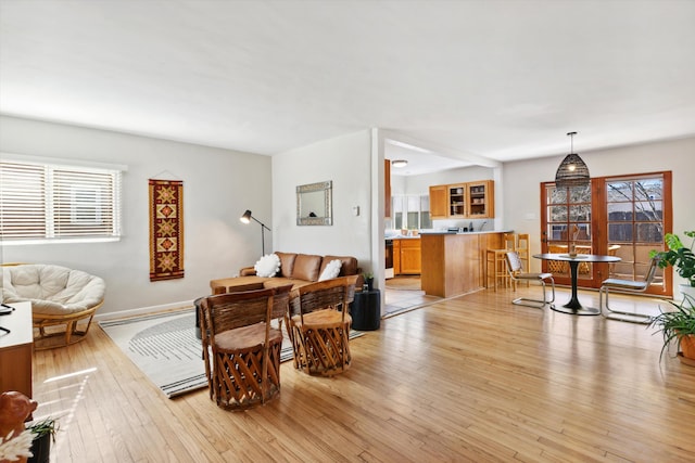 living room with light hardwood / wood-style flooring