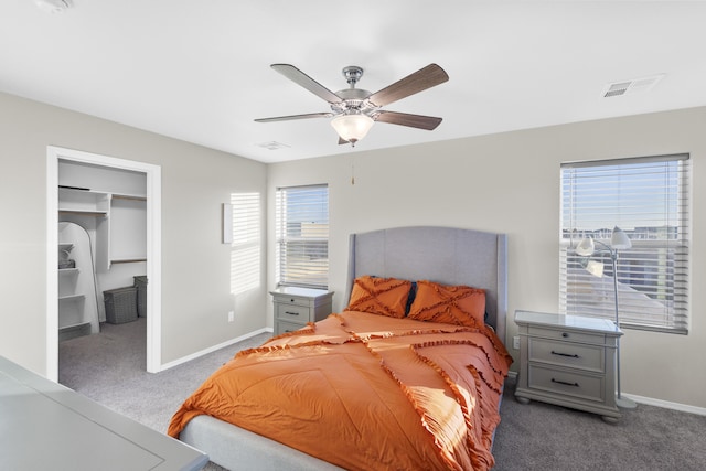 carpeted bedroom featuring ceiling fan, a closet, a walk in closet, and multiple windows