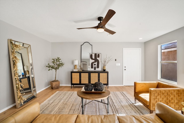 living area featuring ceiling fan and light wood-type flooring