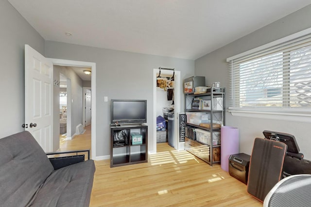 living room with wood-type flooring