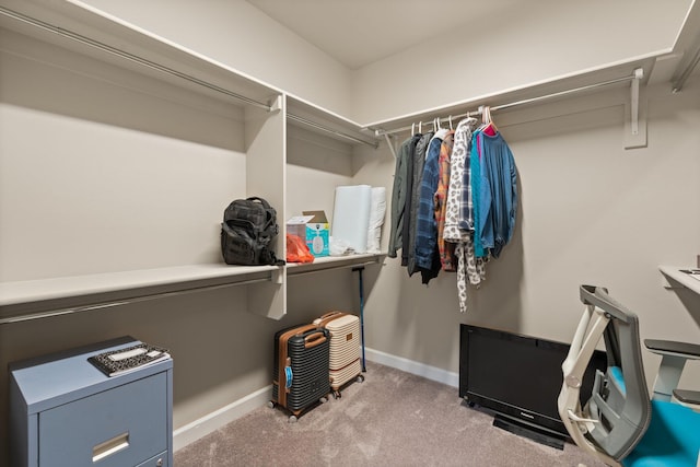 spacious closet featuring light carpet