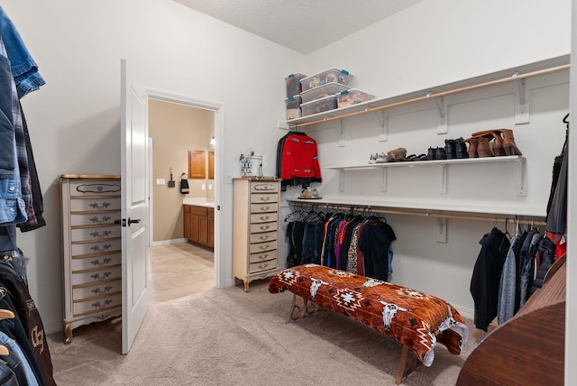 spacious closet with light colored carpet