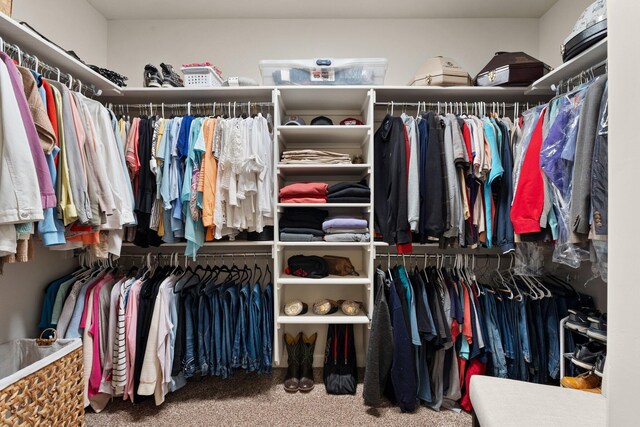 walk in closet featuring carpet floors