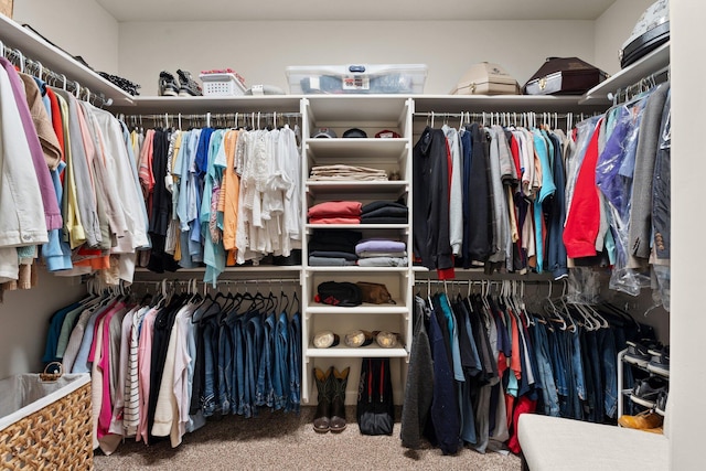 walk in closet with carpet