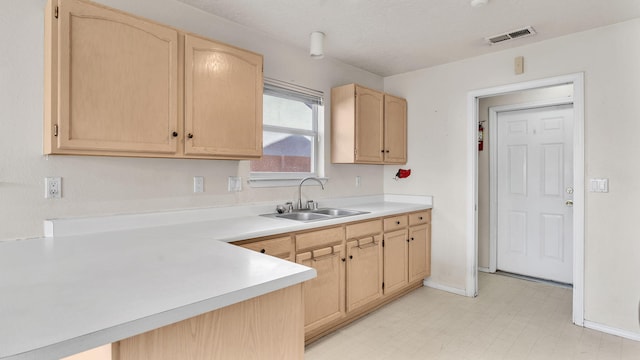 kitchen featuring light brown cabinetry and sink