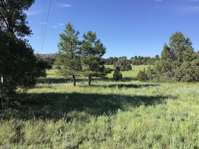 LOT44 Sunflower Dr, Ramah, NM 87321