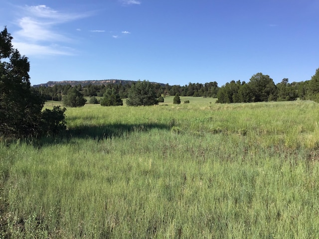 Listing photo 3 for LOT44 Sunflower Dr, Ramah NM 87321