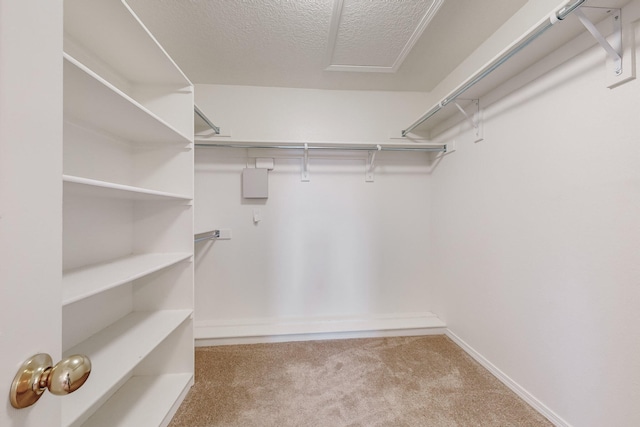 spacious closet with light carpet