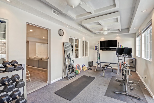 exercise room featuring hardwood / wood-style floors, ceiling fan, and a raised ceiling