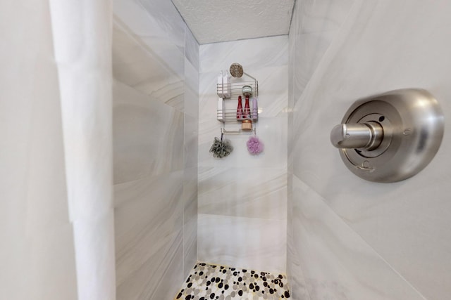 interior details with tiled shower