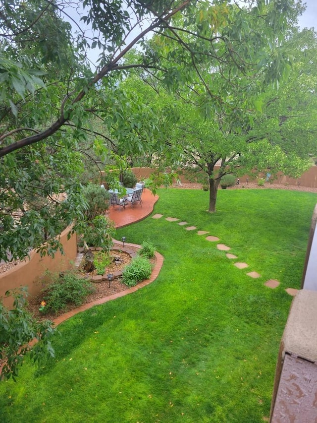 view of yard with a patio