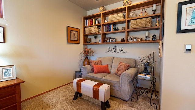 sitting room with carpet flooring