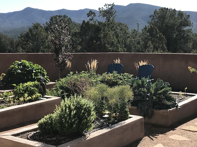 view of patio / terrace with a mountain view