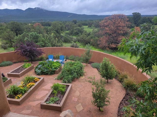 2 Chaco Ct, Sandia Park, NM 87047 - view of yard featuring a mountain view and a vegetable garden