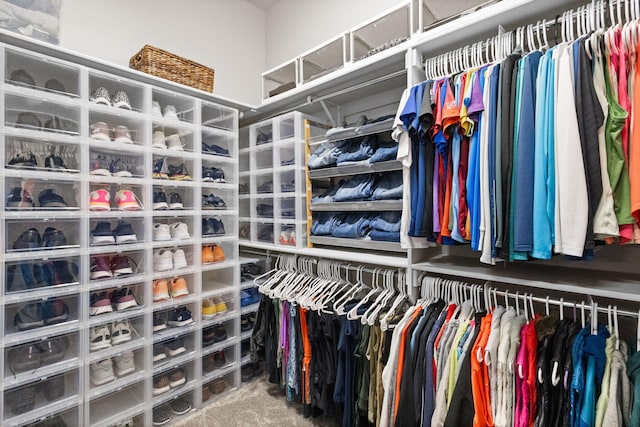 spacious closet with carpet flooring