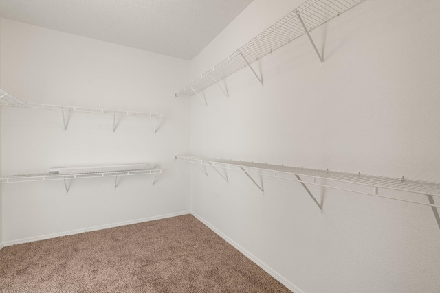 spacious closet with carpet floors