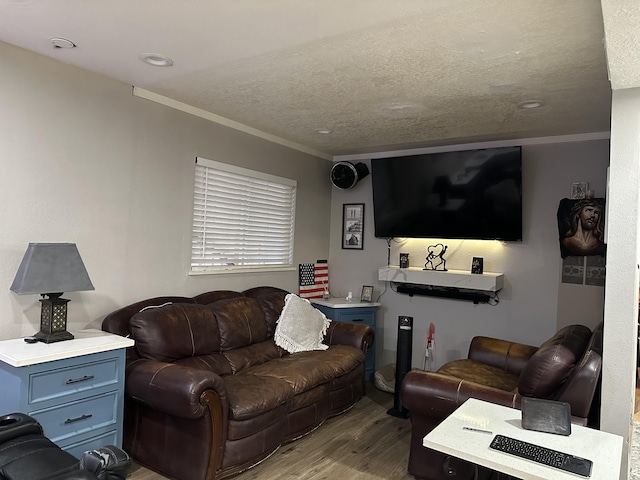 living room with a textured ceiling, light hardwood / wood-style floors, and ornamental molding