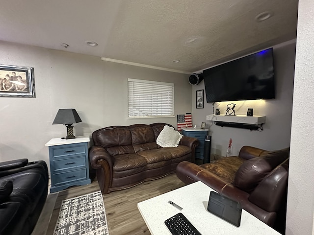 living room with crown molding, light hardwood / wood-style flooring, and a textured ceiling