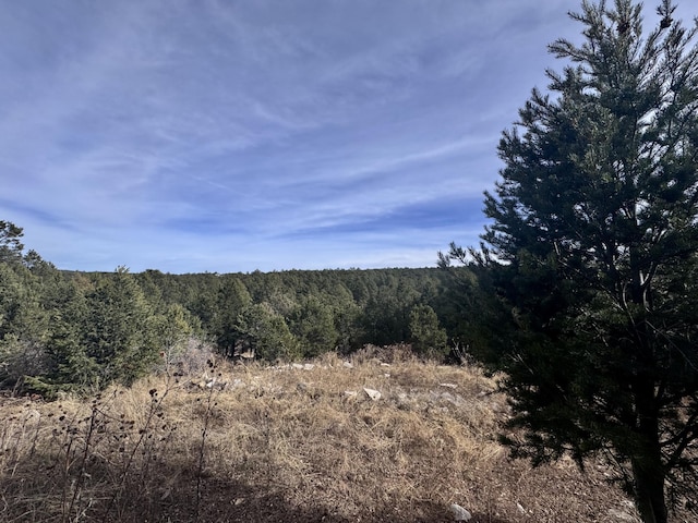 10 Fisher Ct, Tijeras, NM 87059 - photo 10