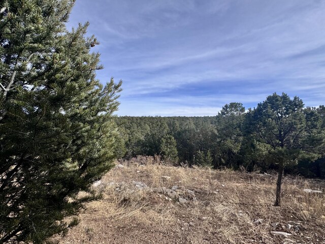 10 Fisher Ct, Tijeras, NM 87059 - photo 9