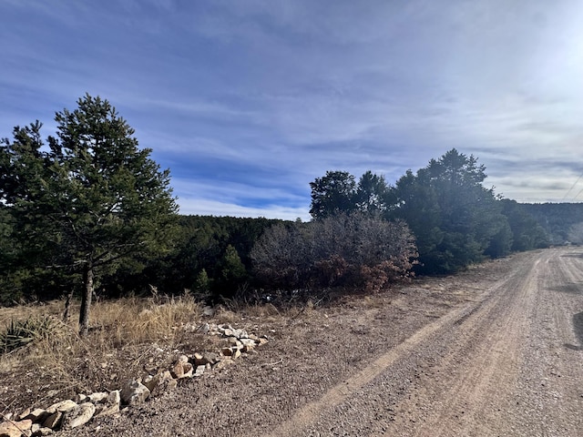 10 Fisher Ct, Tijeras, NM 87059 - photo 8