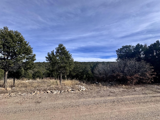 10 Fisher Ct, Tijeras, NM 87059 - photo 6