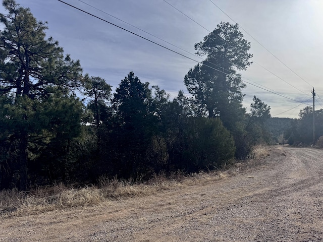 10 Fisher Ct, Tijeras, NM 87059 - photo 14