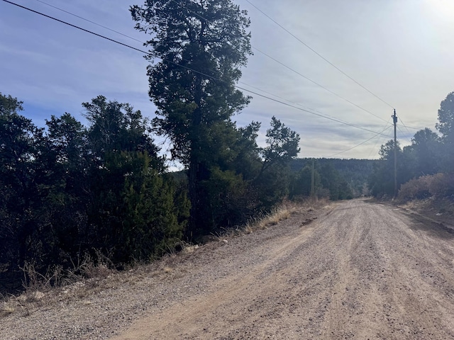 10 Fisher Ct, Tijeras, NM 87059 - photo 13
