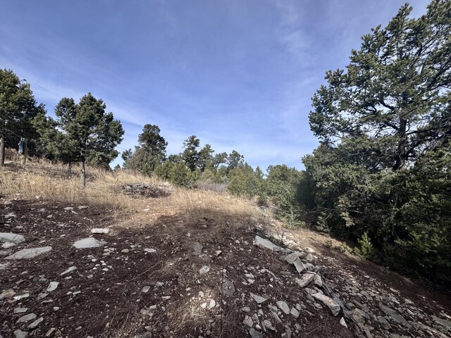 10 Fisher Ct, Tijeras, NM 87059 - photo 12