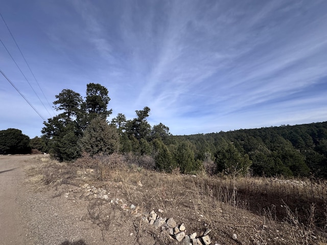 10 Fisher Ct, Tijeras, NM 87059 - photo 11