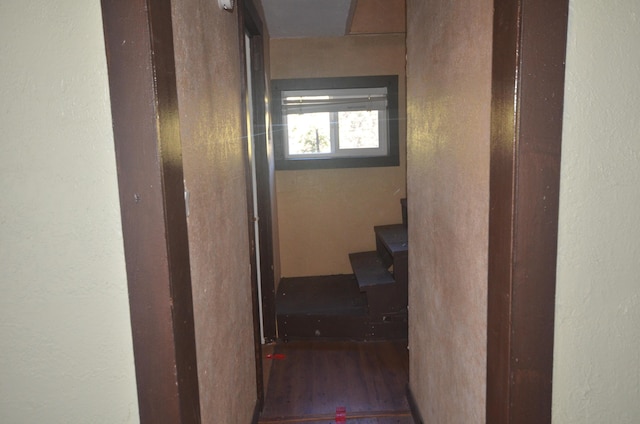 corridor with dark hardwood / wood-style flooring