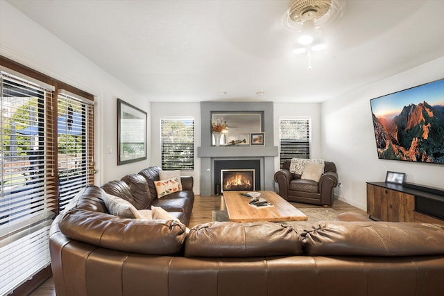 living room featuring wood-type flooring