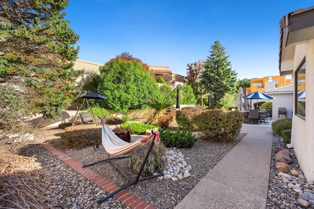 view of yard with a patio