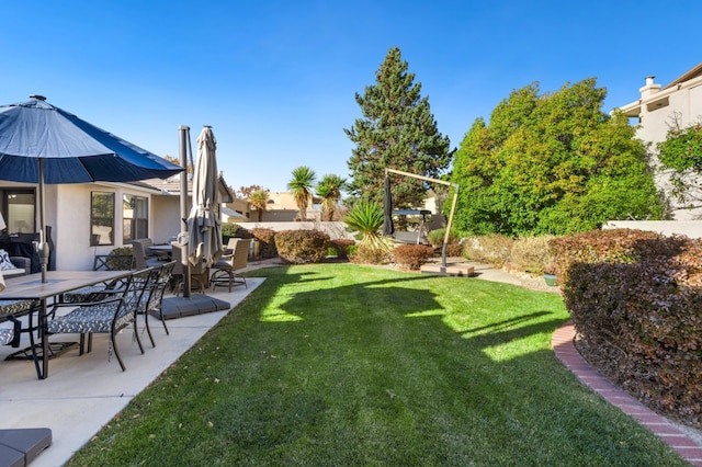 view of yard featuring a patio area