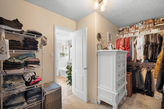 spacious closet with light colored carpet