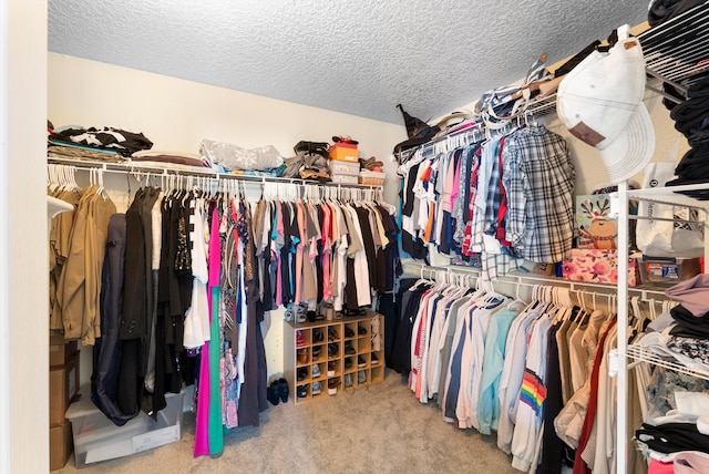 spacious closet featuring carpet flooring