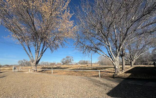 view of yard featuring a rural view