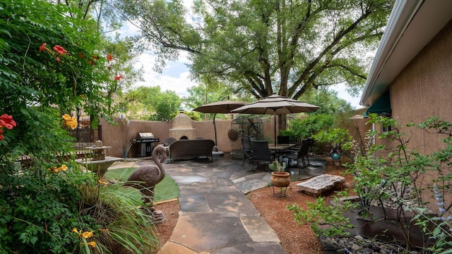 view of patio / terrace with area for grilling