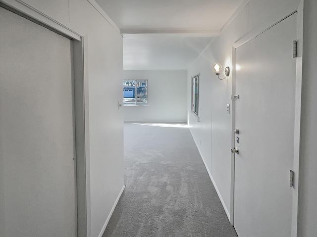 hallway featuring carpet