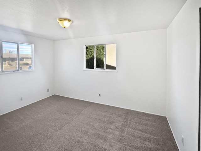 carpeted spare room with a wealth of natural light