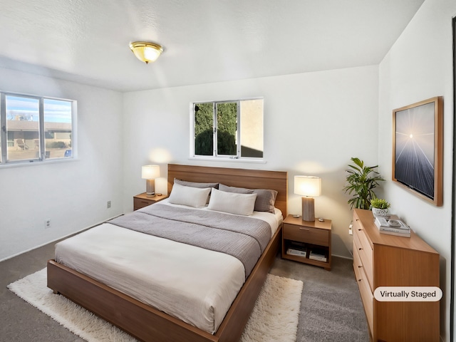 carpeted bedroom with multiple windows