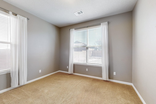 spare room featuring light colored carpet and a textured ceiling