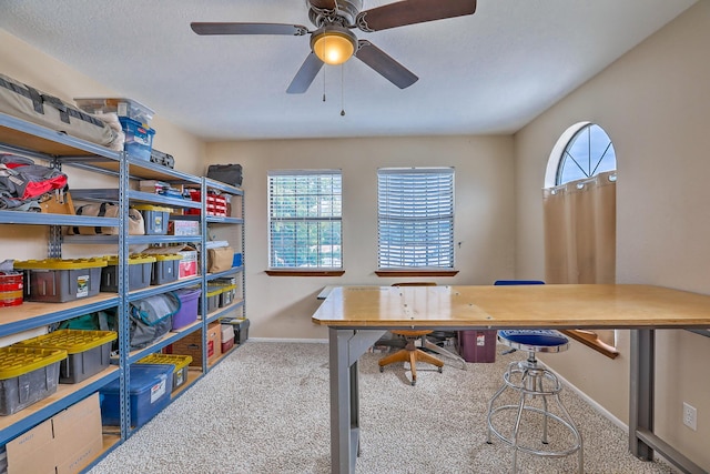 home office with plenty of natural light, carpet floors, and a textured ceiling