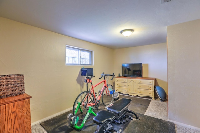 workout room featuring carpet