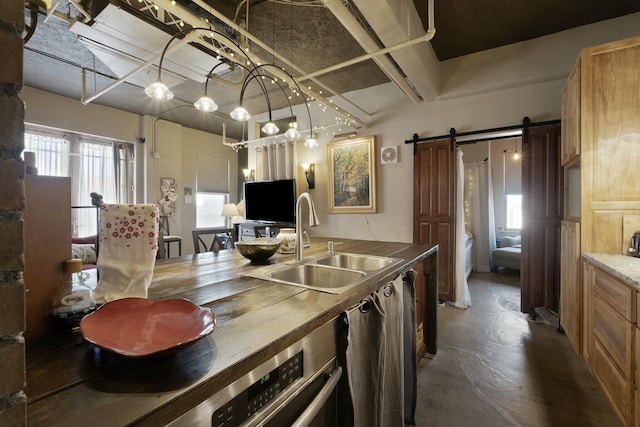 kitchen featuring a barn door and sink