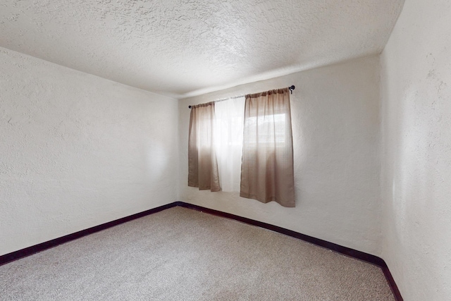 spare room with carpet flooring and a textured ceiling